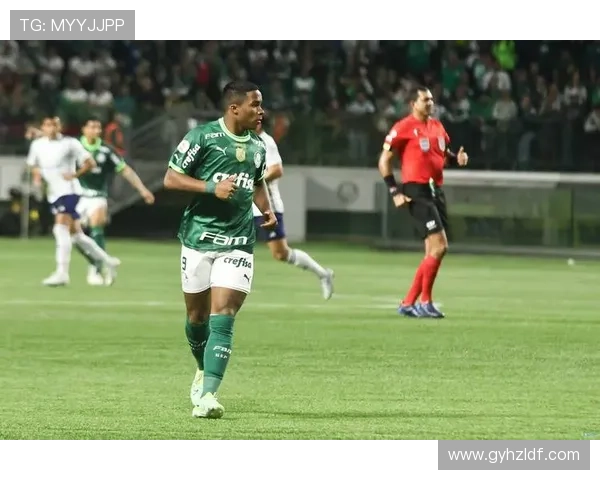 费内巴切对恩德里克表现出浓厚兴趣皇马考虑1月外租方案