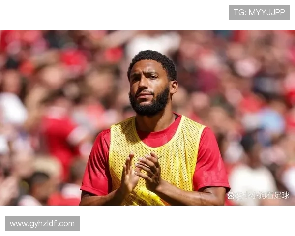 利物浦冬窗引援迫在眉睫中卫人手不足戈麦斯伤病成隐患